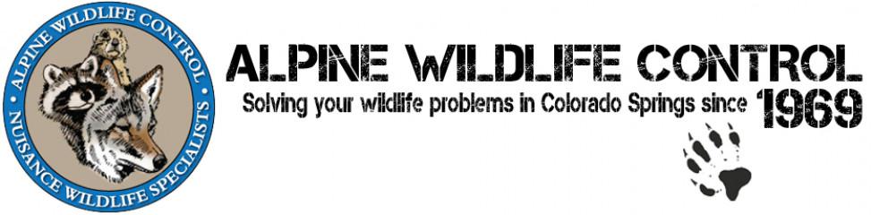 Alpine Wildlife Control